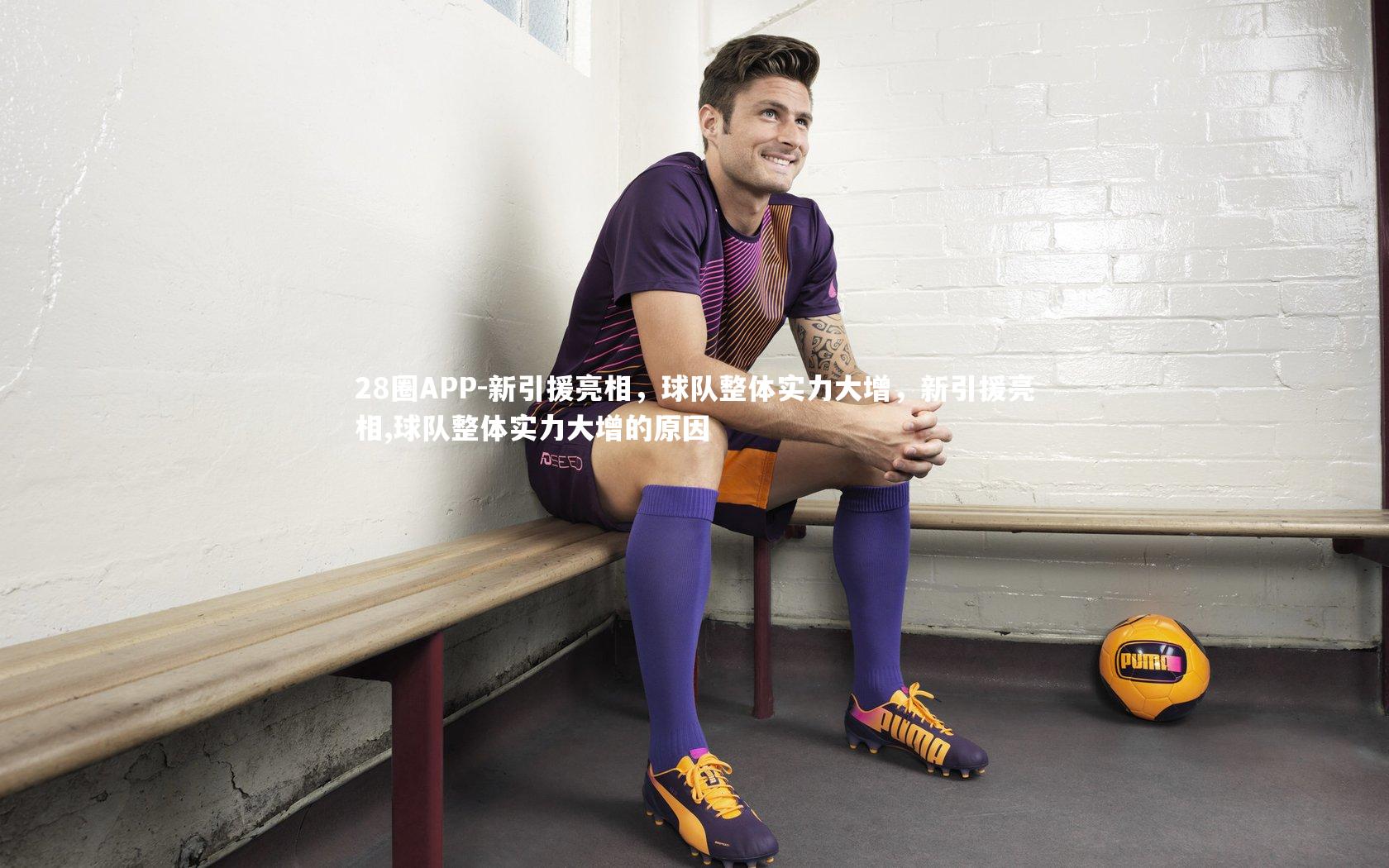 新引援亮相，球队整体实力大增，新引援亮相,球队整体实力大增的原因