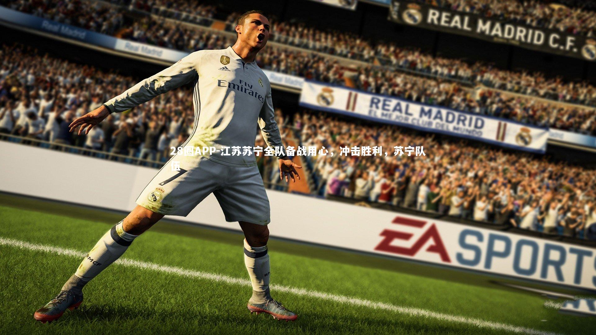 江苏苏宁全队备战用心，冲击胜利，苏宁队伍