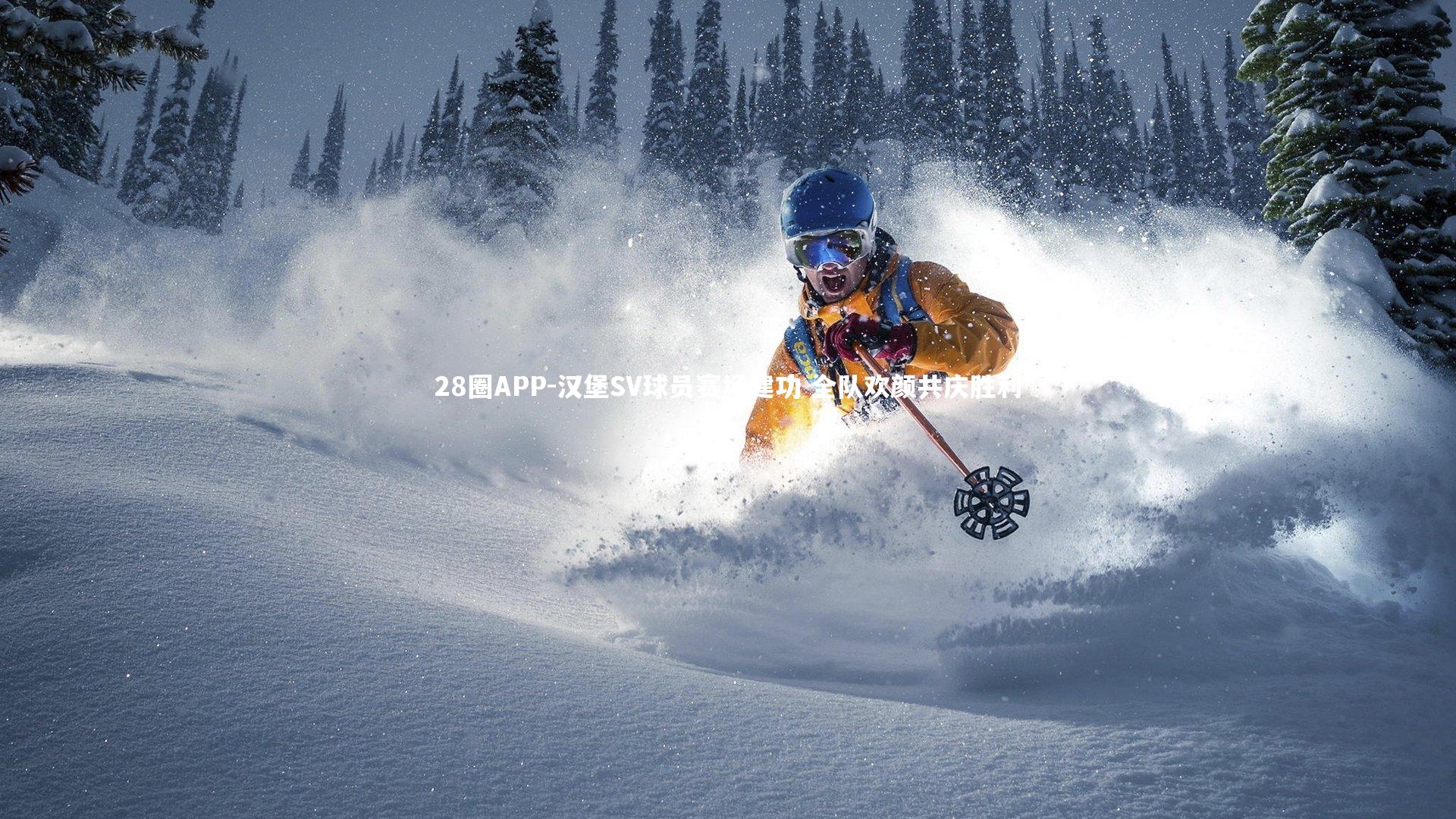 汉堡SV球员赛场建功 全队欢颜共庆胜利