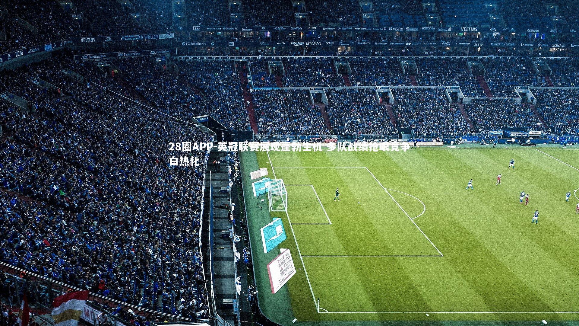 28圈APP-英冠联赛展现蓬勃生机 多队战绩抢眼竞争白热化