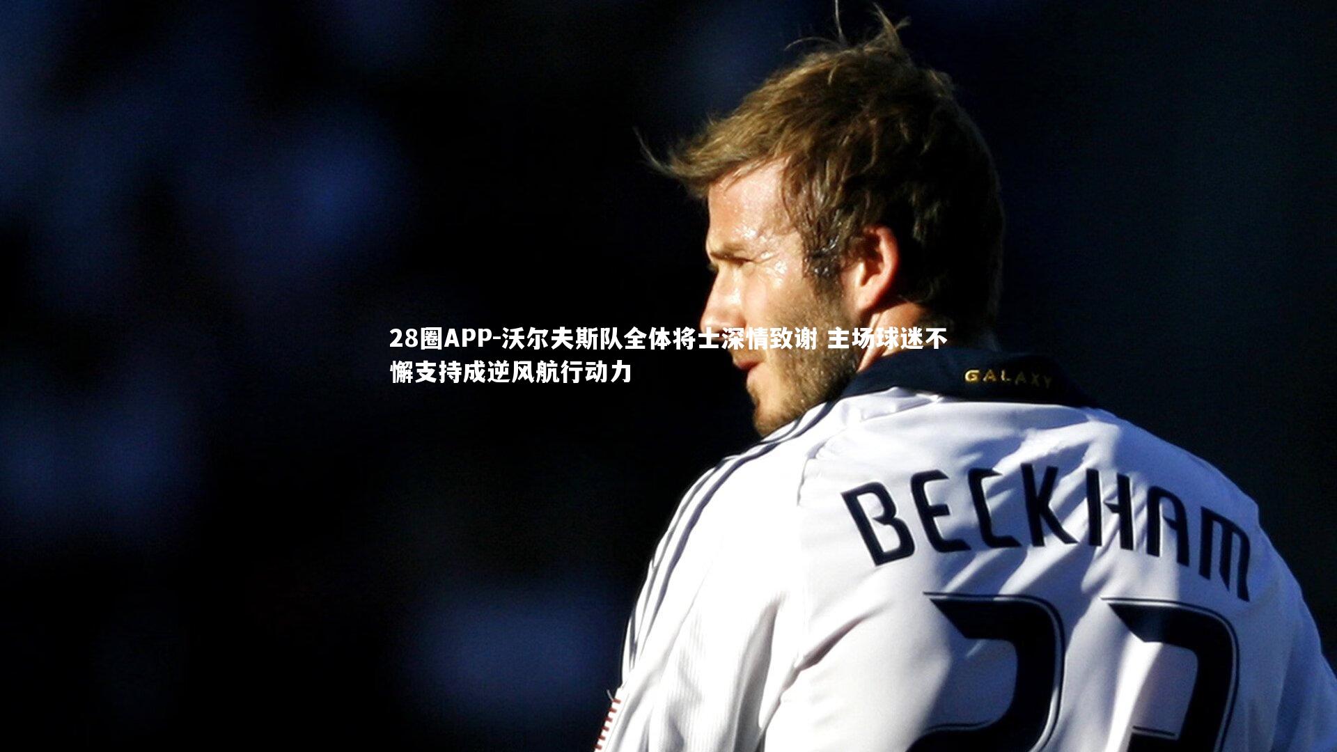 28圈APP-沃尔夫斯队全体将士深情致谢 主场球迷不懈支持成逆风航行动力