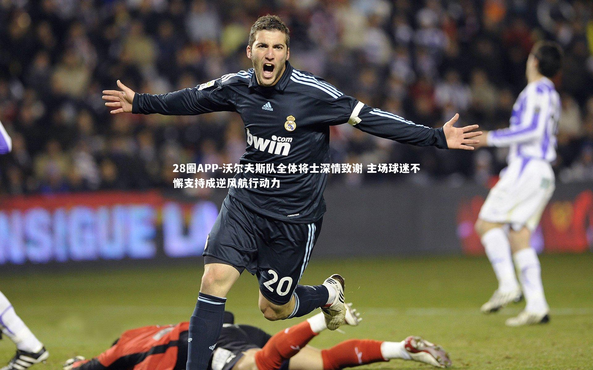 沃尔夫斯队全体将士深情致谢 主场球迷不懈支持成逆风航行动力